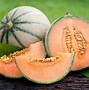 Jenis Melon Di Indonesia